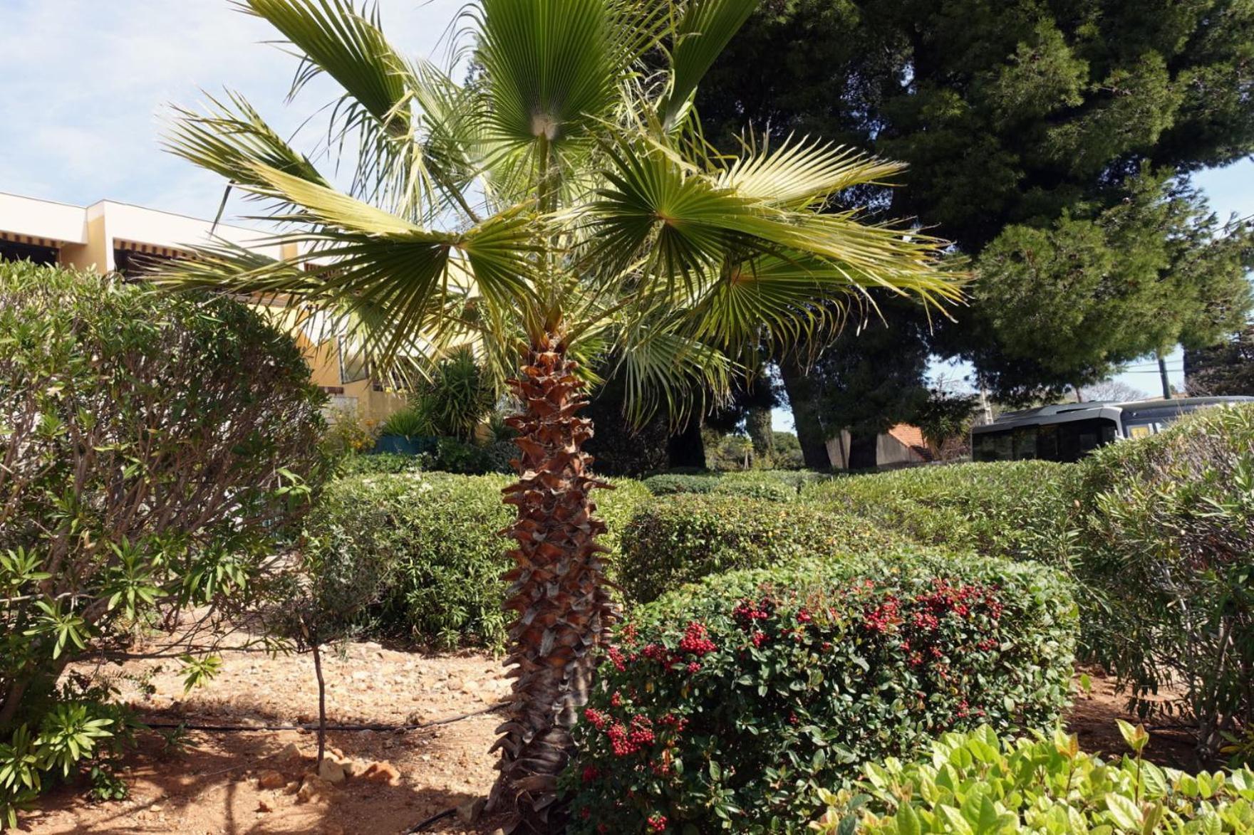 Les Jardins De Bandol, Piscine Privee, Belle Vue Mer 외부 사진