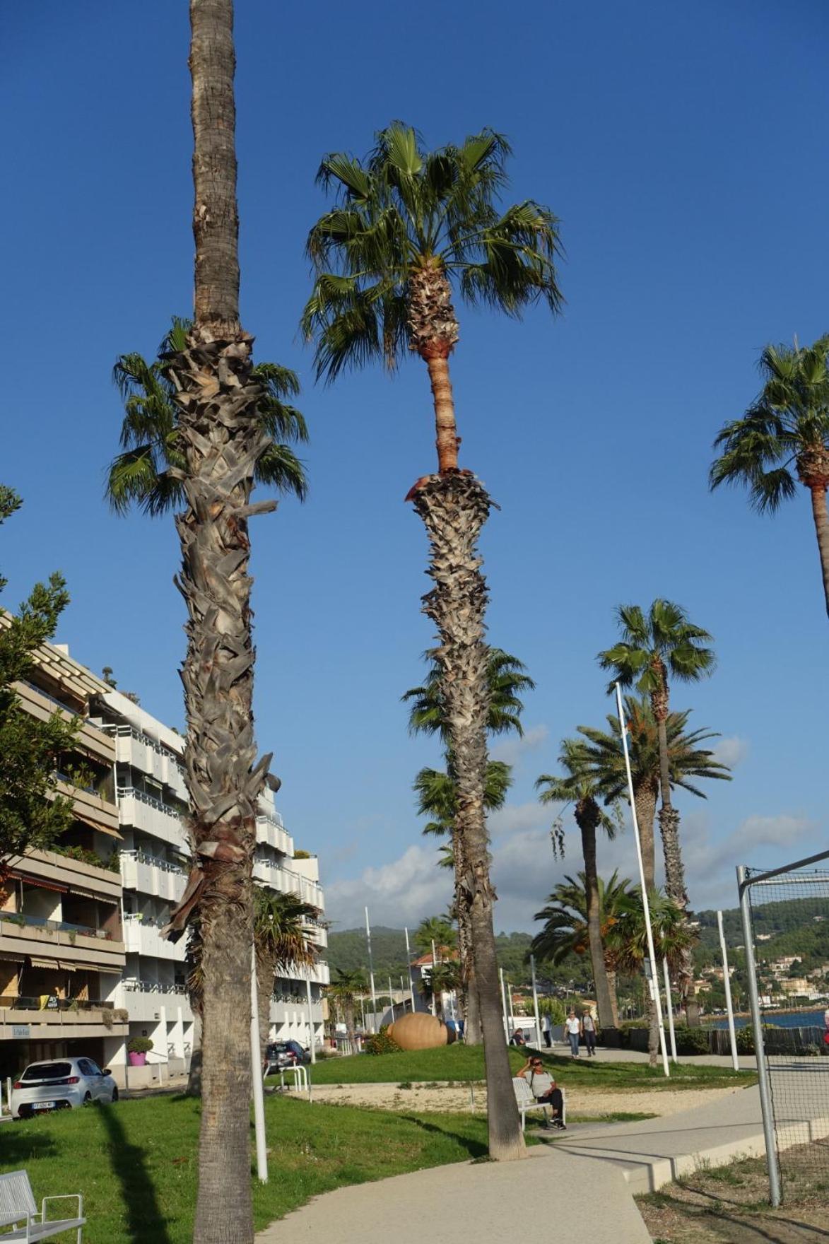 Les Jardins De Bandol, Piscine Privee, Belle Vue Mer 외부 사진